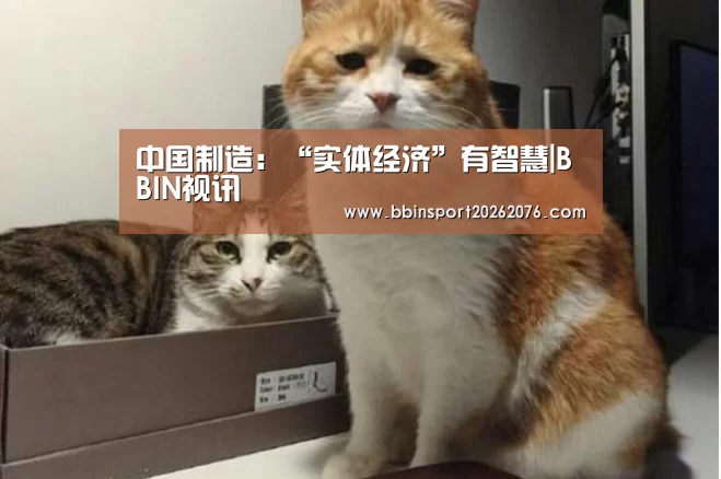中国制造:“实体经济”有智慧|BBIN视讯(图1) BBIN登录