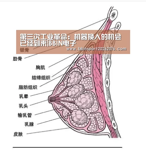 第三次工业革命：机器换人的机会已经到来|BBIN电子