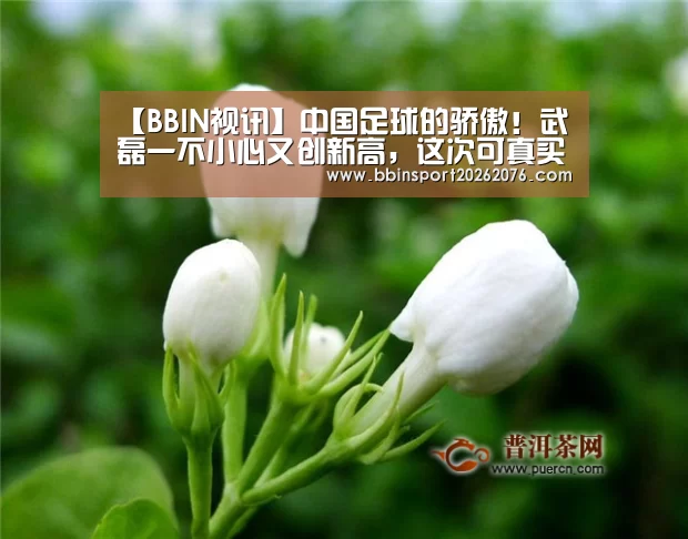 BBIN视讯