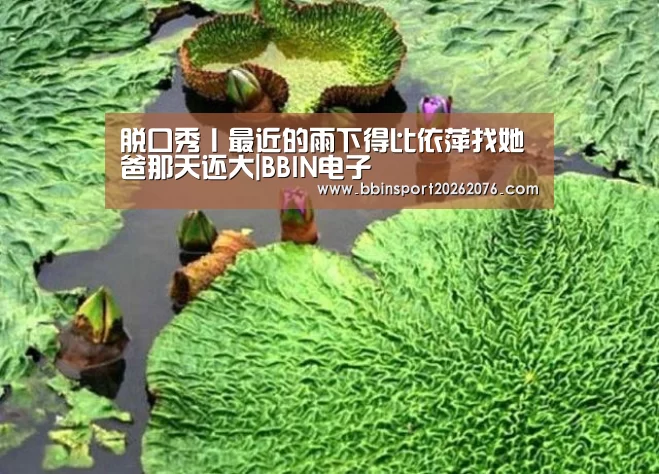 BBIN视讯
