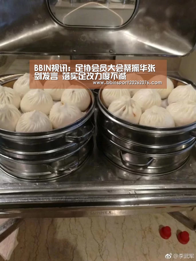 BBIN登录