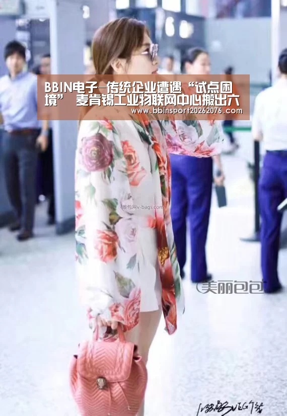 BBIN电子-传统企业遭遇“试点困境” 麦肯锡工业物联网中心搬出六大“法门”(图3) BBIN登录